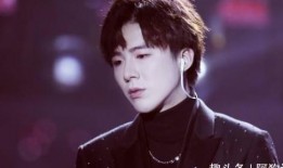 刘宇宁爆料沈腾了吗视频,揭秘娱乐圈不为人知的一面